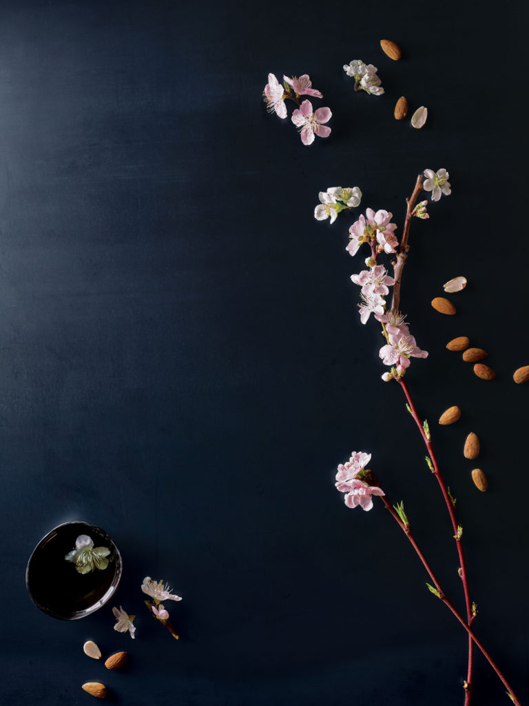 A dark background features a delicate cherry blossom branch with pink flowers and a small bowl of almonds at the bottom right. - K. Charles & Co. in San Antonio and Schertz, TX