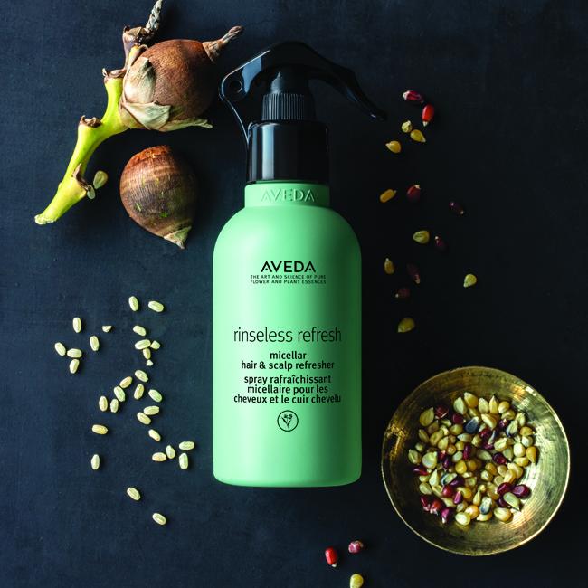 Aveda hair mist bottle on a dark surface surrounded by botanical ingredients and a golden bowl of beans. - K. Charles & Co. in San Antonio and Schertz, TX