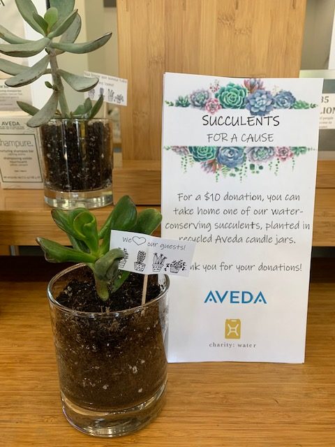 A small potted succulent on a wooden table with a sign behind it promoting "succulents for a cause" for a $10 donation at an aveda store. - K. Charles & Co. in San Antonio and Schertz, TX