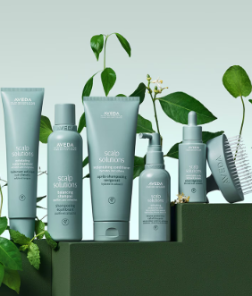 A collection of Aveda Scalp Solutions hair care products displayed with green leaves, including shampoo, conditioner, serum, and scalp brush, all in pale green packaging. - K. Charles & Co. in San Antonio and Schertz, TX